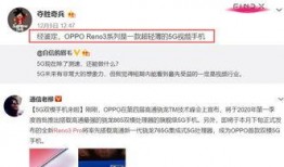仙鱼最新爆料视频大全集,揭秘幕后真相，带你领略仙鱼世界