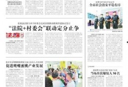 河源日报最新爆料,揭秘河源重大事件背后真相