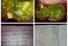 星动元祖最新爆料,揭秘明星幕后故事与精彩瞬间